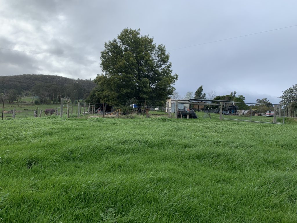 view of the paddock before the shed was built