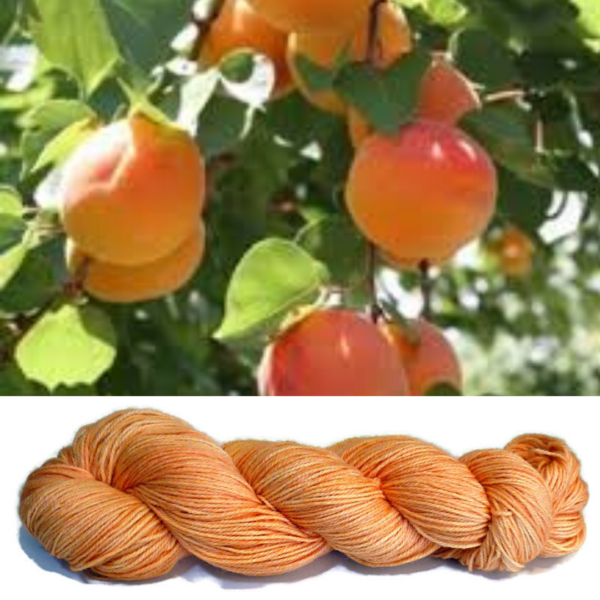 Apricot - Tendril 4ply - Image 2