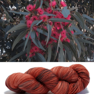 Inspiration for the colourway Flowering Gum