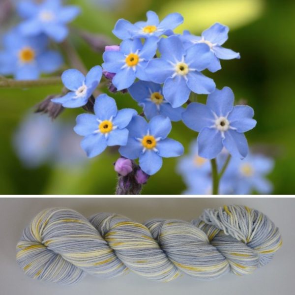 Forget-Me-Not - Lattice Sock - Image 2