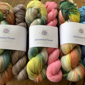 I Dream to Riot <br>Songs from the Dye Studio Dream Edition Sets