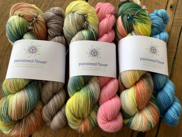 I Dream to Riot <br>Songs from the Dye Studio Dream Edition Sets