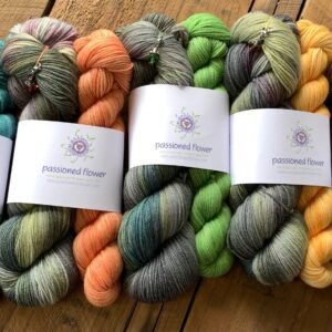 Wondering what you're dreaming<br>Songs from the Dye Studio Dream Edition Sets